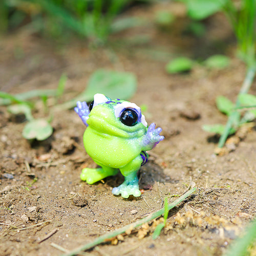 Purple-backed GumiToadi