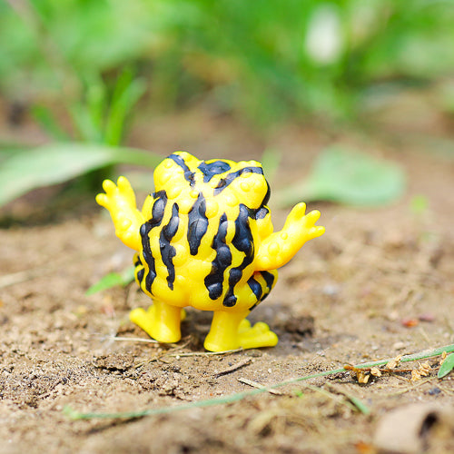 Striped Yellow GumiToadi