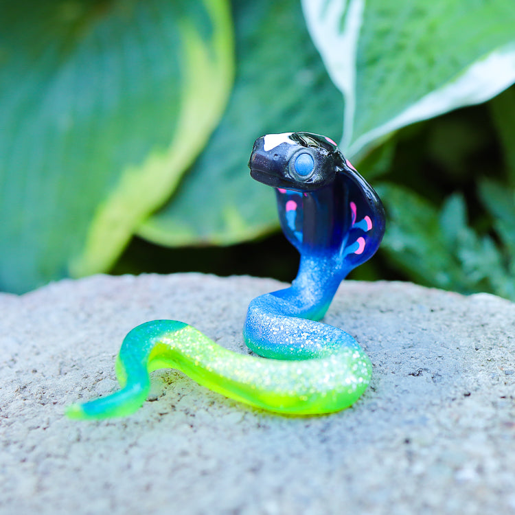 Blue-Eyed Baby Cobra